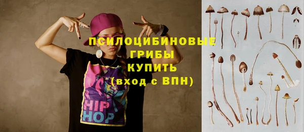 первитин Киреевск