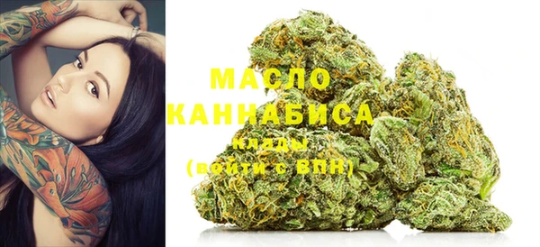 крисы Кинешма