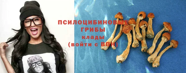 МДПВ Киренск