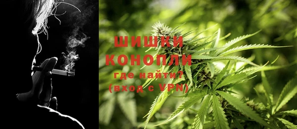 крисы Кинешма