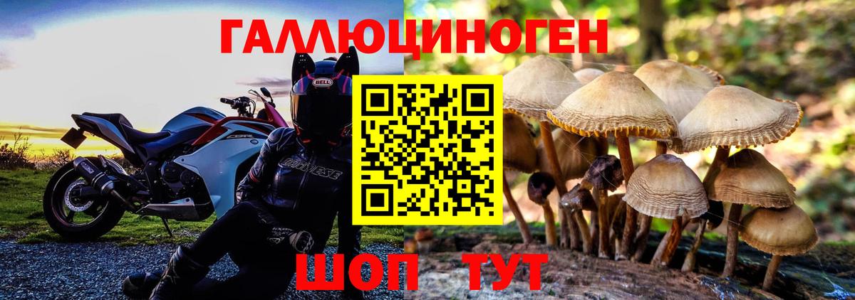 Галлюциногенные грибы GOLDEN TEACHER  Вход с VPN  Узловая 